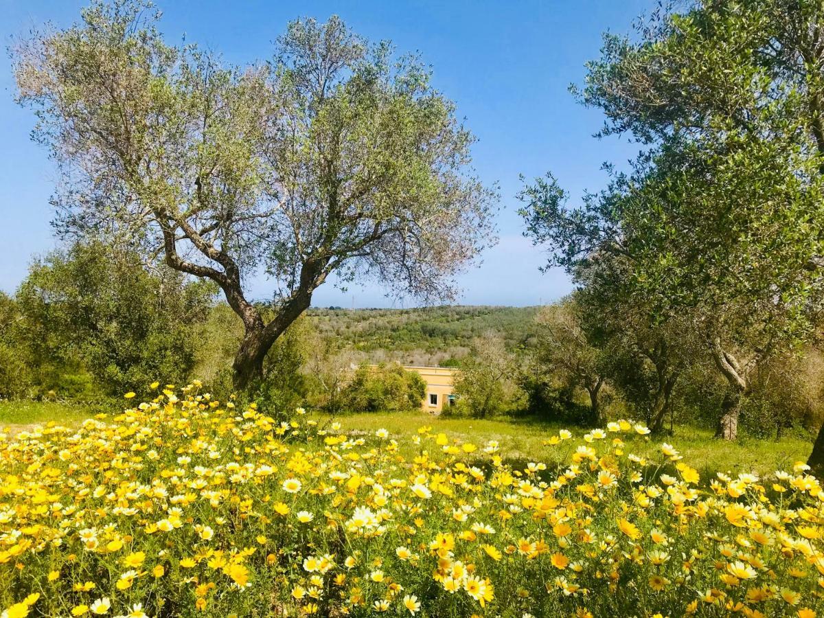 Le Palombelle Casa Vacanze Otranto Zewnętrze zdjęcie